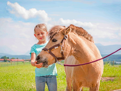 Bild 22 aus  Panoramahof