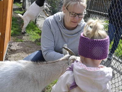 Bild 15 aus  Ferienhof Borchers