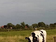 Bild 18 aus  Hof Vorwerk Familie Böye