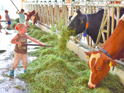 Bild 26 aus  Ramsteinerhof