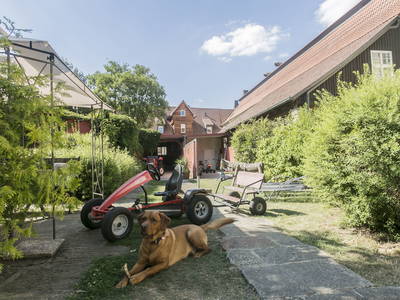 Bild 10 aus  Ökonomiehof