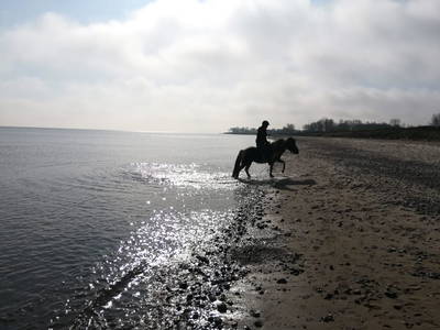 Bild 28 aus  OstseeBauernhof Schönhagen