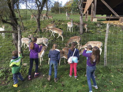 Bild 34 aus  LandSelection Gutshof Käppeler