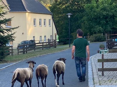 Bild 9 aus  Rittergut Bielatal