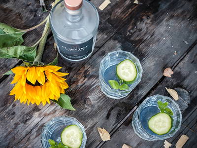 Bild 7 aus  Kunterbunthof – Landurlaub am Künstlerhof in Ostseenähe