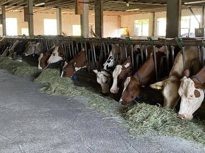 Bild 60 aus  Familien-Bauernhofurlaub im Herzen der Schweiz