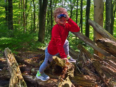 Bild 14 aus  Bernis Ferienhaus