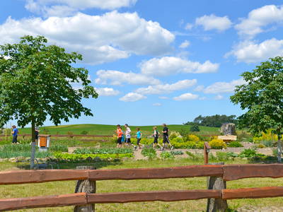 Bild 34 aus  Bauer Korl's Golchener Hof