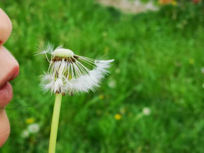 Bild 32 aus  Auf'm Reifnhof: Ihr Kreativhof am Simssee im Chiemgau