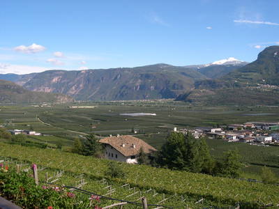 Bild 20 aus  Finkenhof