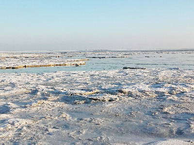Bild 34 aus  Ferienhof Peter -  Ponys - streicheln, striegeln, füttern  -  Wattwanderungen + ganz viel Nordsee