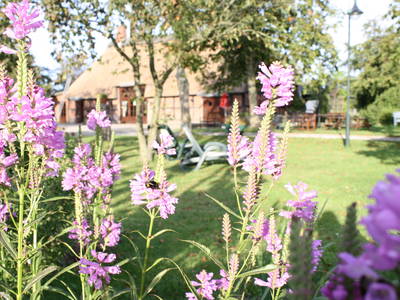 Bild 13 aus  Ferienhof Thomsen