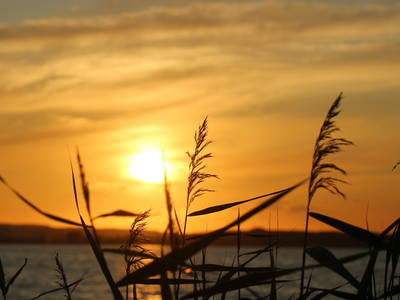 Bild 50 aus  Gut Friederikenhof