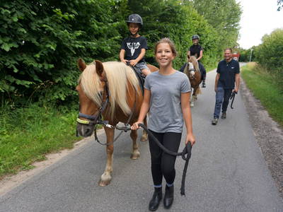 Bild 11 aus  Ostseeferienhof  Stoldt