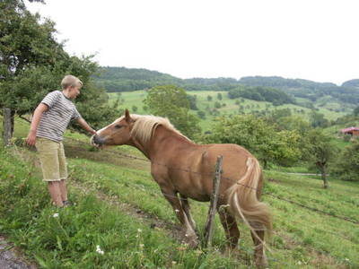 Bild 8 aus  Martiburhof - Ferien auf dem Bauernhof