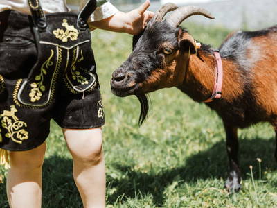 Bild 13 aus  Erlebnisbauernhof Englmeier