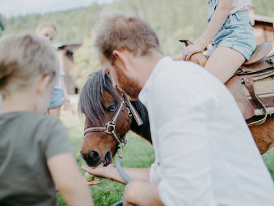 Bild 6 aus  Bauernhofurlaub  Sinnhubgut