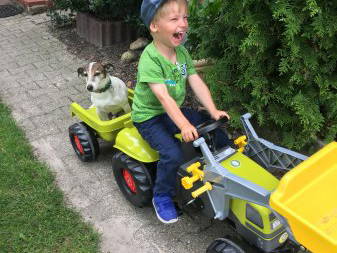 Bild 31 aus  Ponyhof Goldenstein