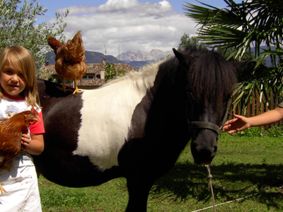 Bild 16 aus  Heideggerhof