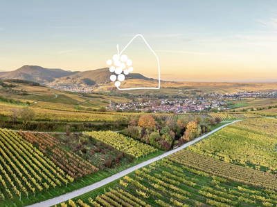 Bild 21 aus  Das Winzereck | Ferienhaus zwischen Weinbergen & Pfälzerwald