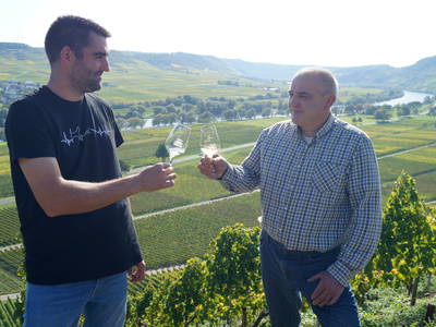 Bild 7 aus  Ferres Weingut
