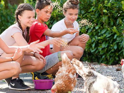 Bild 32 aus  Sonis kleine Farm Grömitz