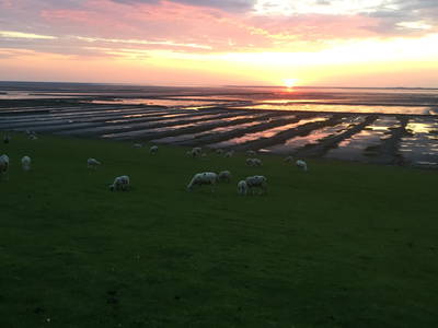 Bild 27 aus  Ferienhof Lorenzen