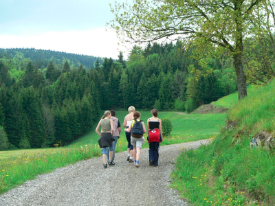 Bild 27 aus  BioFerienhof Höfler