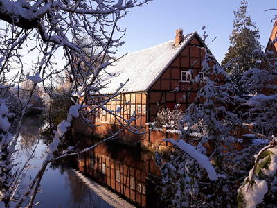 Bild 24 aus  Gut Petersdorf