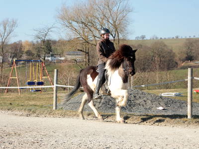 Bild 10 aus  Mitteltalhof "Lebensraum mit Vision"