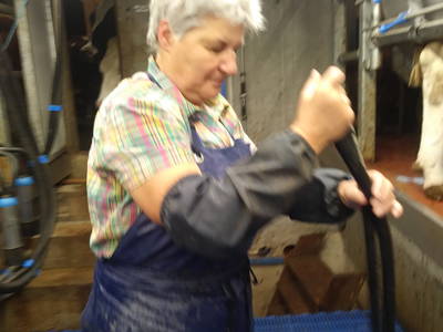 Bild 24 aus  Neu-Schötzerhof