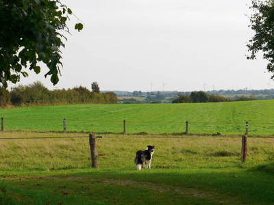 Bild 5 aus  Grünberger Hof