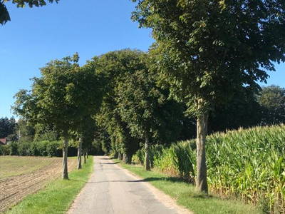 Bild 9 aus  Sprengerhof