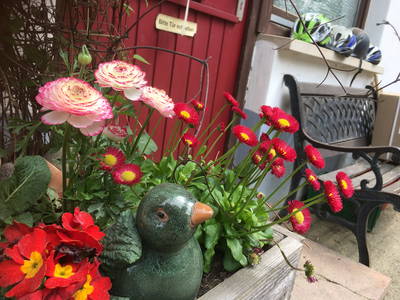 Bild 8 aus  Ferienpension-Bauernhof Mattenhof