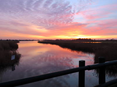 Bild 13 aus  Ferienhof Familie Jörn Höper