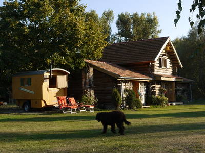 Bild 6 aus  Erlenhof im Oderbruch - Rund ums Schaf