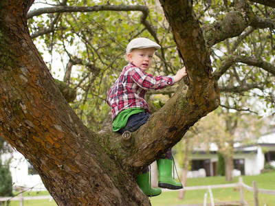 Bild 15 aus  Birkenhof - Ferienhof, Landcafé & Rösterei