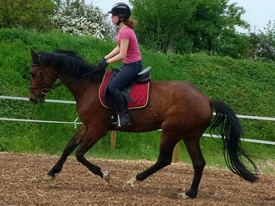 Bild 28 aus  Lautersheimer Gutshof