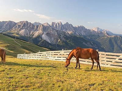 Bild 17 aus  Residence Alpenrose