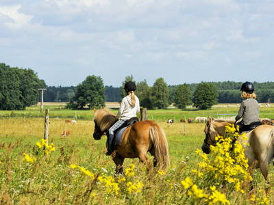 Bild 18 aus  Reiter- und Erlebnisbauernhof Groß Briesen