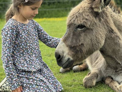 Bild 32 aus  Nordsee-Ferienhof Wittmaack - Beliebtester Ferienhof Deutschlands 2024