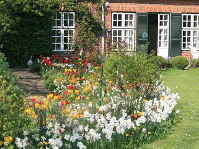 Bild 19 aus  Gut Friederikenhof