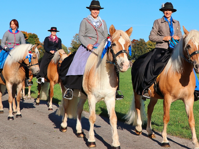 Bild 18 aus  Augustinerhof
