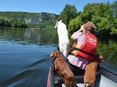 Unsere Vierbeiner machen auch gerne einen Ausflug auf der Dordogne.