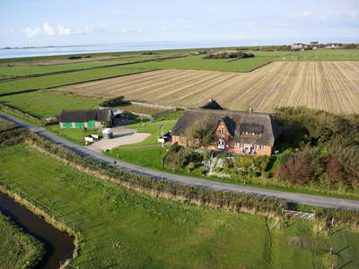 Bild 11 aus  Friesenhof Schulze-Warft