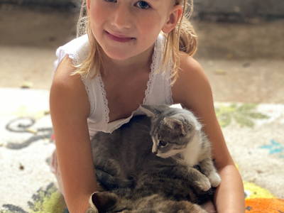 Bild 7 aus  Lindenhof