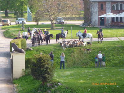 Bild 43 aus  FerienGut Dalwitz     www.feriengutdalwitz.de