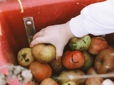 Bild 20 aus  Birkenhof - Ferienhof, Landcafé & Rösterei