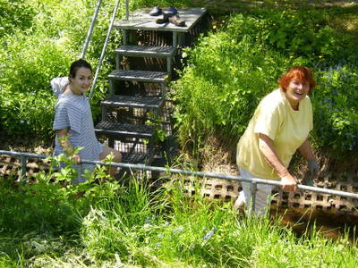 Bild 22 aus  Hof Gerina