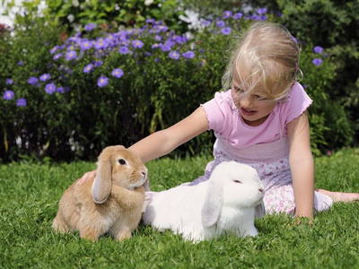 Bild 5 aus  Weissenhof-Inzell